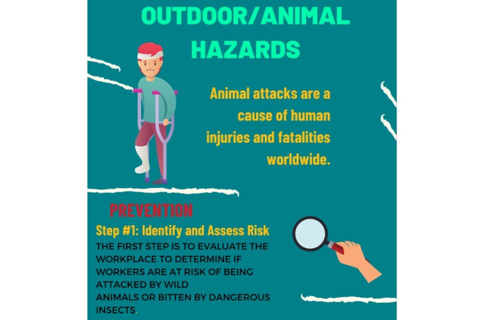 Outdoor Animal Hazards Infographic SafetyNow ILT